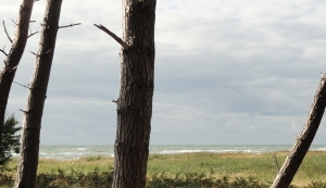 Am Meer Am Meer